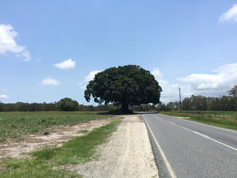 Jacobbs Well - Accommodation QLD 1