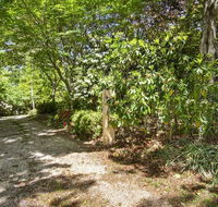 Jalscene - Accommodation QLD