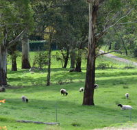 JAN'S ART STUDIO AT ASHBY RISE - Accommodation QLD