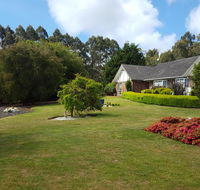 Jarrah - Accommodation QLD