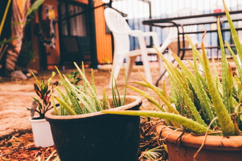 JJs Backpackers Hostel - Accommodation QLD 2