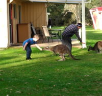 Kalgan River Chalets and Caravan Park - Accommodation QLD