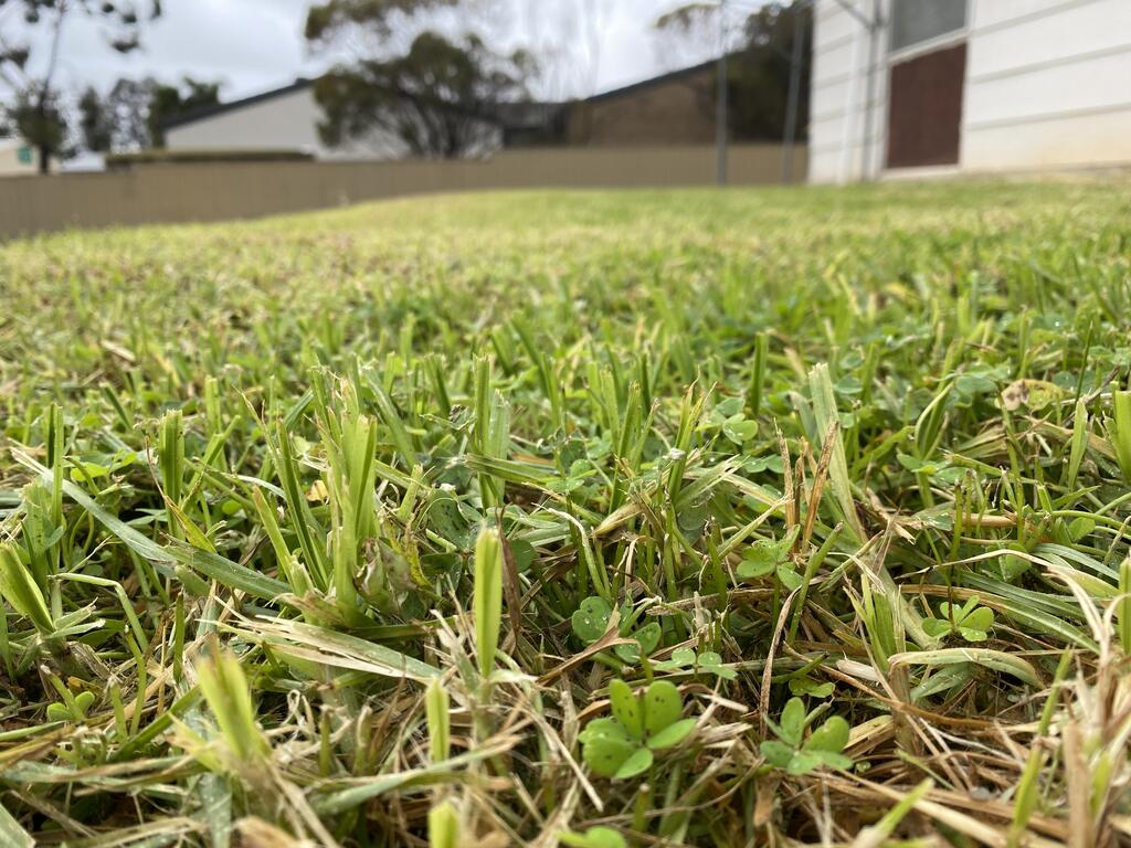Geranium SA Accommodation QLD