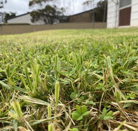 Karoonda Accommodation - Accommodation QLD