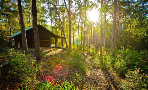 Kianinny Bush Cottages - Accommodation QLD 0