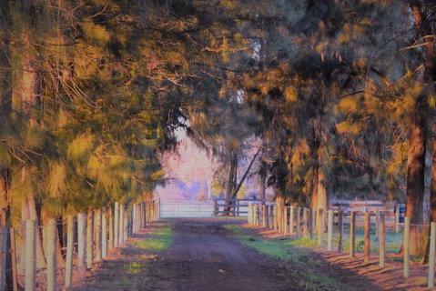 King River Cottage - Accommodation QLD 3