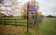 King River Cottage - thumb 0