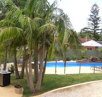 Koala Tree Motel - Accommodation QLD