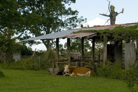 Lagoon Pocket Bed & Breakfast - Accommodation QLD 3