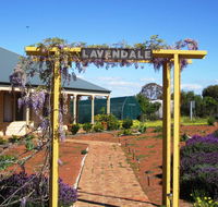 Lavendale Farmstay and Cottages York - Accommodation QLD