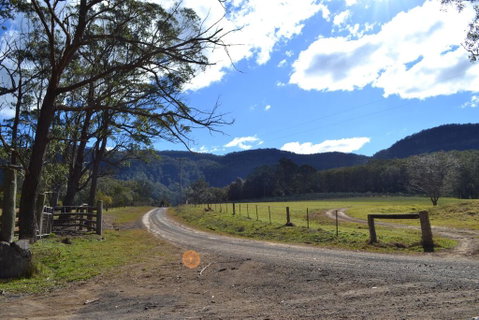 Lemon Tree Cottage - Bendeela - Accommodation QLD 0