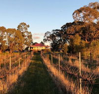 Lillicur Vineyard BB - Accommodation QLD