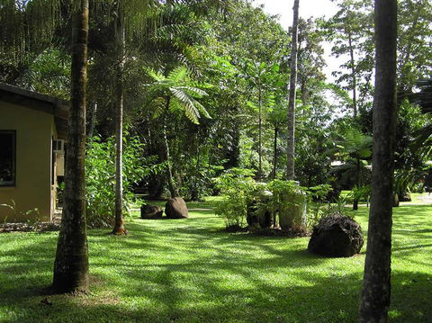 Lync Haven Rainforest Retreat - Accommodation QLD 3