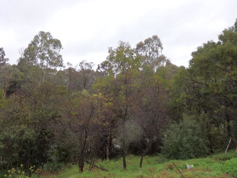 Mandall Avenue - Accommodation QLD 2