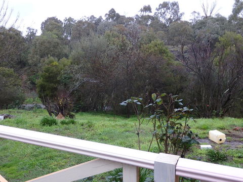 Mandall Avenue - Accommodation QLD 1