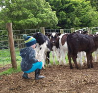 Manderley Park Farmstay BB - Accommodation QLD