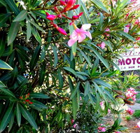 Mercury motor inn - Accommodation QLD