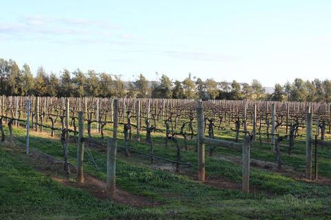 Milawa Vineyard Views - Guesthouse 2 - Accommodation QLD 0