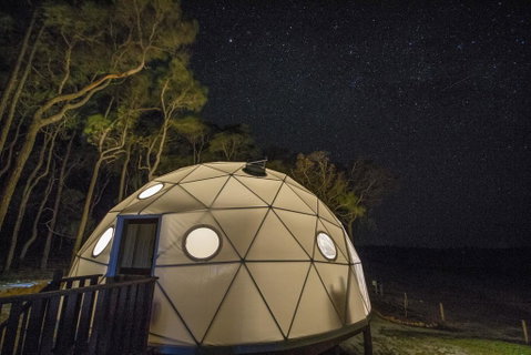 Mile End Glamping Pty Ltd - Accommodation QLD 3