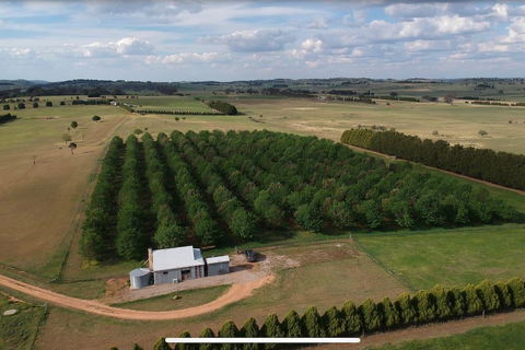 Millthorpe Truffles - Gorgeous Getaway For 2 - Accommodation QLD 0