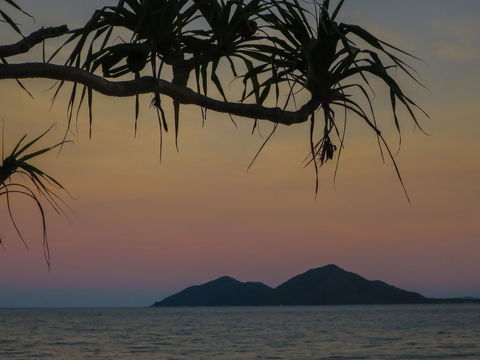 Mission Beach Hideaway Holiday Village - Accommodation QLD 1