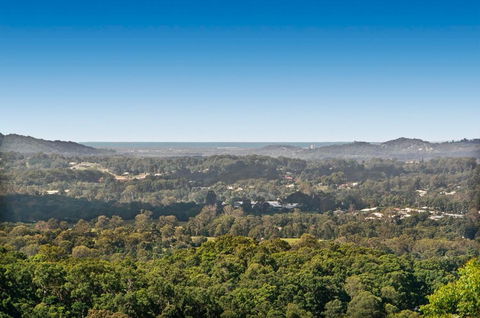 Montville B&B - Accommodation QLD 1