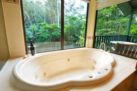 Montville Country Cabins - Accommodation QLD 2