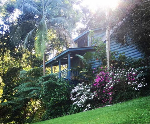 Montville Country Cabins - Accommodation QLD 1