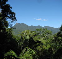 Mossman Gorge Bed and Breakfast - Accommodation QLD