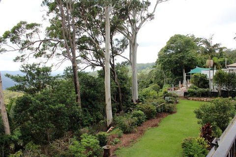 Mt Tamborine Motel - Accommodation QLD 2