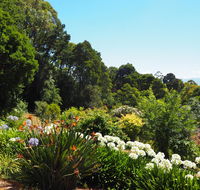 Murrindindi - Accommodation QLD