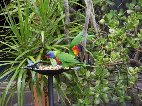 Nanango Fitzroy Motel - Accommodation QLD 2