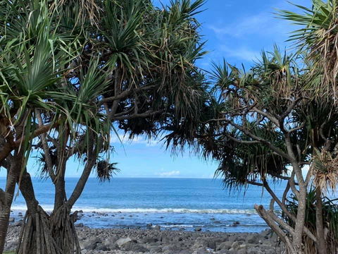 Nautilus Beachside Apartments - Accommodation QLD 3