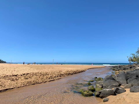 Nautilus Beachside Apartments - Accommodation QLD 1