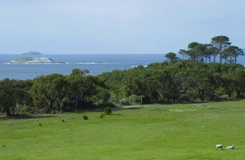 Cosy Corner Sea View Apartments - Accommodation QLD 7