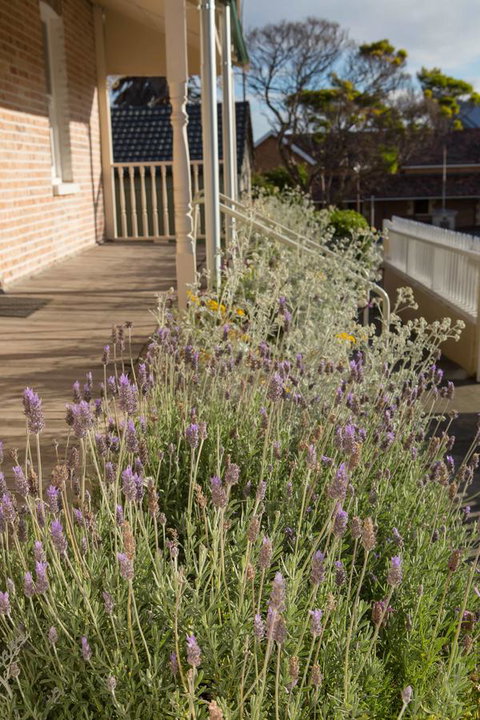 Spencer Cottage - Accommodation QLD 11