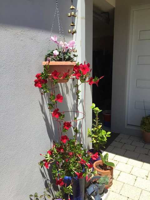 Lakeside Views - Accommodation QLD 5