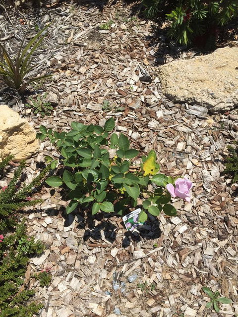 Lakeside Views - Accommodation QLD 6