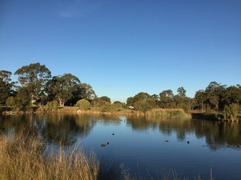 Lakeside Views - Accommodation QLD 18