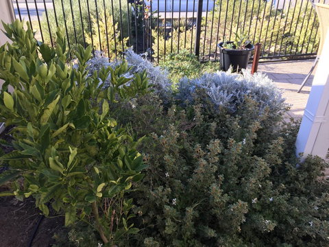 Lakeside Views - Accommodation QLD 10