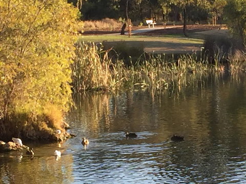 Lakeside Views - Accommodation QLD 15