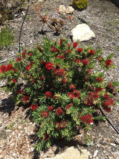 Lakeside Views - Accommodation QLD 8