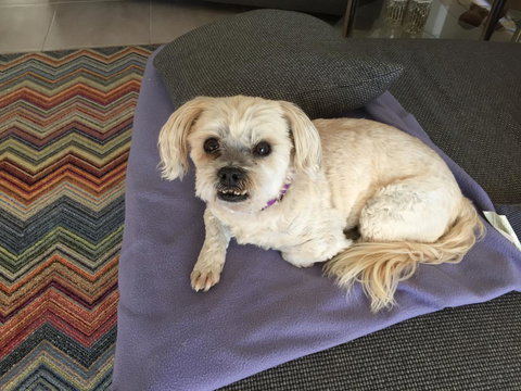 Lakeside Views - Accommodation QLD 7