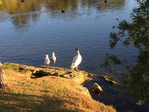 Lakeside Views - Accommodation QLD 19