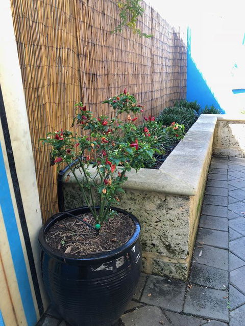 BeachHideaway@Scarborough - Accommodation QLD 33