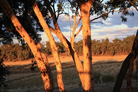 Hotham Ridge Estate - Accommodation QLD 30