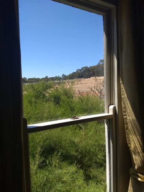 Hotham Ridge Estate - Accommodation QLD 8