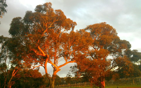Hotham Ridge Estate - Accommodation QLD 35