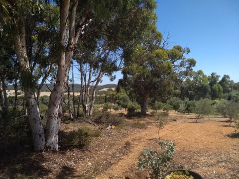 Hotham Ridge Estate - Accommodation QLD 13