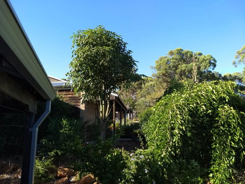 Hotham Ridge Estate - Accommodation QLD 5